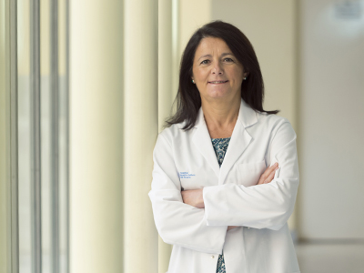 Cuadro medico adeslas salamanca Cuadro medico adeslas salamanca